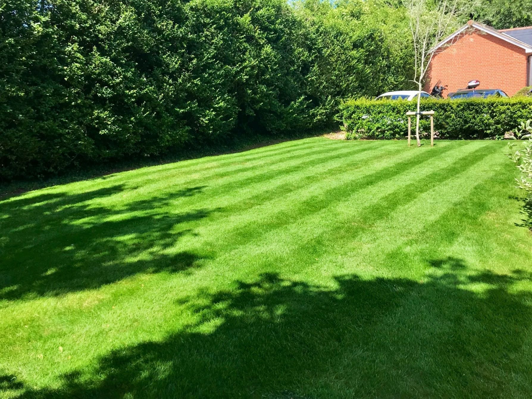 Westlecot House 2 Bright green healthy lawn with stripes