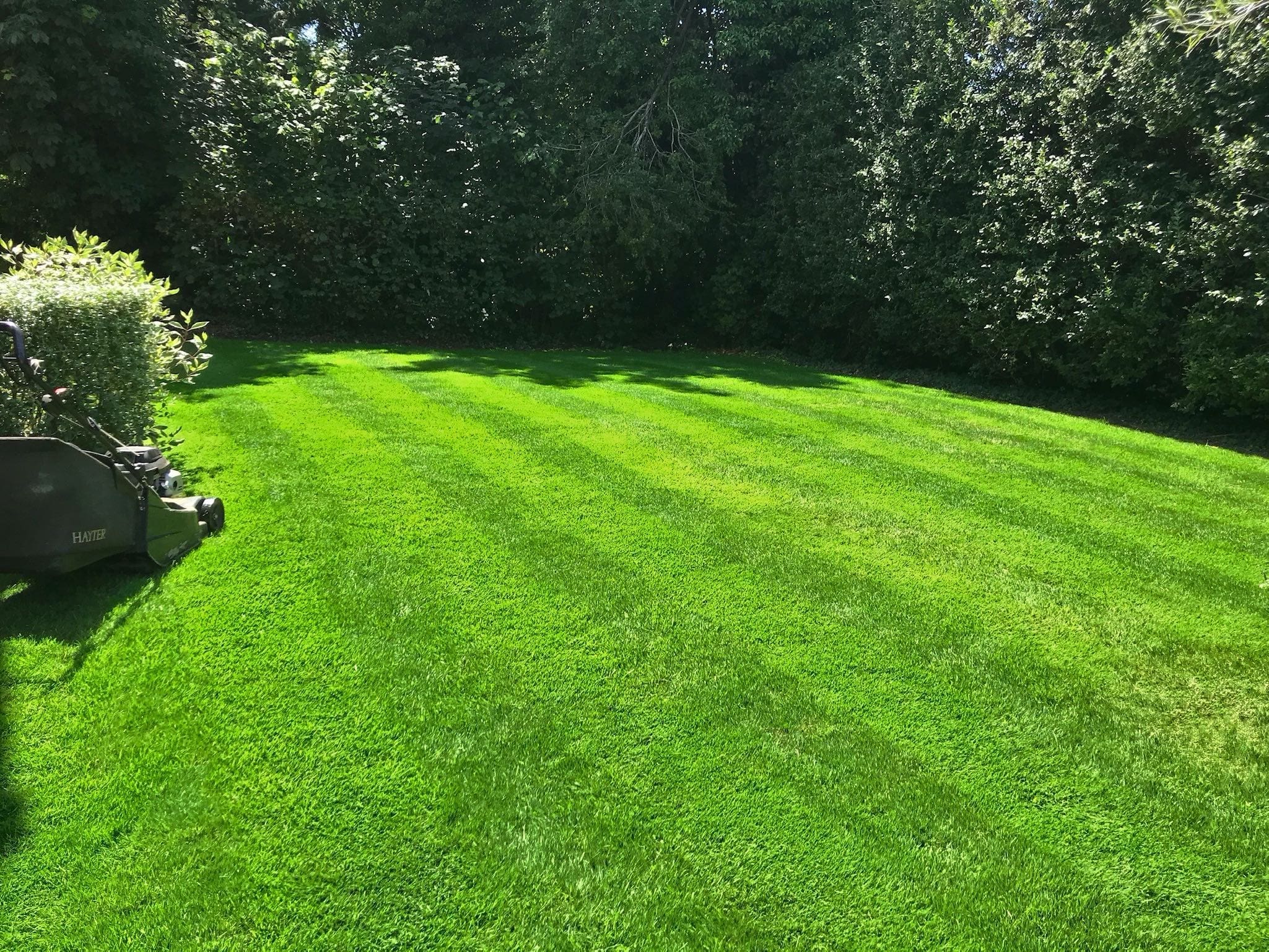 Westlecot House 5 Bright green healthy lawn with stripes